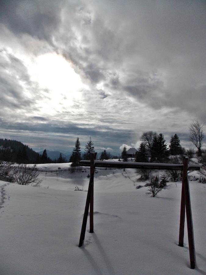 Planinska Koliba Sekulic Villa ภายนอก รูปภาพ